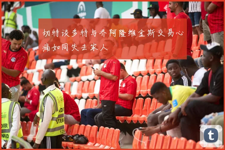 切特谈多特与乔阿隆维金斯交易心痛如同失去家人